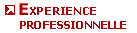 Exprience professionnelle